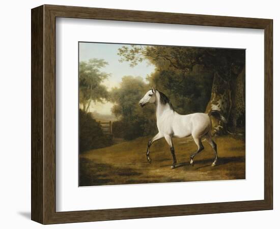 A Grey Arab Stallion in a Wooded Landscape-Jacques-Laurent Agasse-Framed Giclee Print