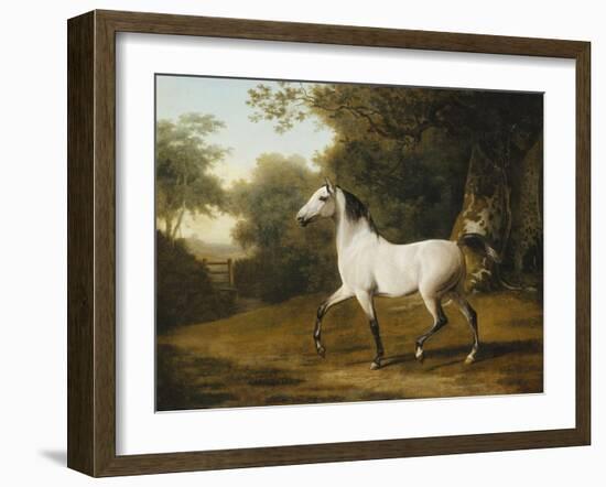 A Grey Arab Stallion in a Wooded Landscape-Jacques-Laurent Agasse-Framed Giclee Print