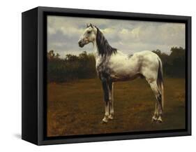 A Grey Camarguen Stallion in a Clearing-Rosa Bonheur-Framed Stretched Canvas