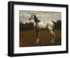 A Grey Camarguen Stallion in a Clearing-Rosa Bonheur-Framed Giclee Print