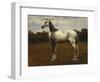 A Grey Camarguen Stallion in a Clearing-Rosa Bonheur-Framed Giclee Print