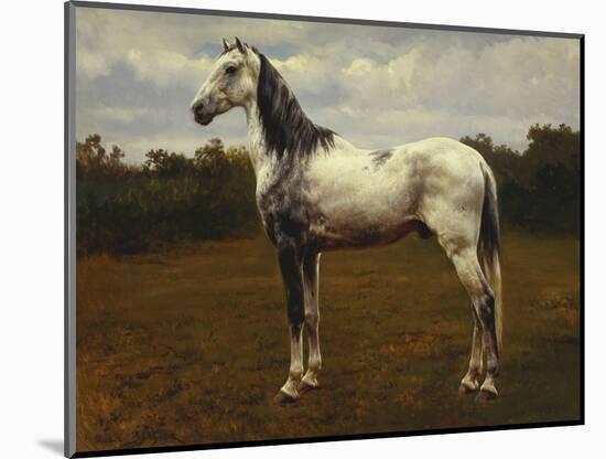 A Grey Camarguen Stallion in a Clearing-Rosa Bonheur-Mounted Giclee Print