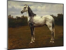 A Grey Camarguen Stallion in a Clearing-Rosa Bonheur-Mounted Giclee Print