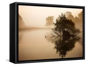 A Grey Heron, Ardea Cinerea, Waits to Catch Fish on Pen Ponds-Alex Saberi-Framed Stretched Canvas