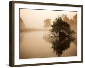 A Grey Heron, Ardea Cinerea, Waits to Catch Fish on Pen Ponds-Alex Saberi-Framed Photographic Print