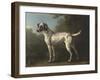 A Grey Spotted Hound-John Wootton-Framed Art Print