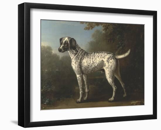 A Grey Spotted Hound-John Wootton-Framed Art Print