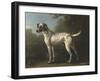 A Grey Spotted Hound-John Wootton-Framed Art Print