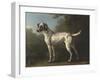 A Grey Spotted Hound-John Wootton-Framed Art Print