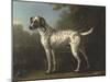 A Grey Spotted Hound-John Wootton-Mounted Art Print