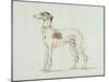A Greyhound, Facing Left (Pen and Ink on Paper)-James Seymour-Mounted Giclee Print
