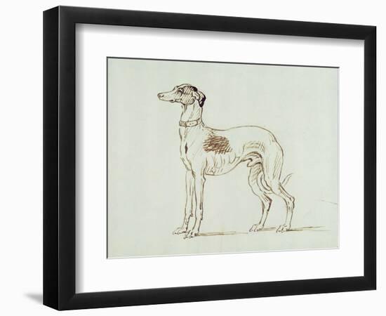 A Greyhound, Facing Left (Pen and Ink on Paper)-James Seymour-Framed Giclee Print