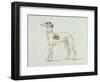 A Greyhound, Facing Left (Pen and Ink on Paper)-James Seymour-Framed Giclee Print