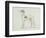 A Greyhound, Facing Left (Pen and Ink on Paper)-James Seymour-Framed Giclee Print