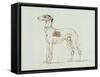 A Greyhound, Facing Left (Pen and Ink on Paper)-James Seymour-Framed Stretched Canvas