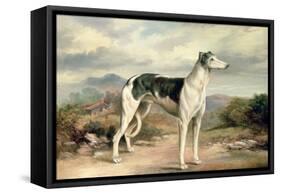 A Greyhound in a Hilly Landscape-James Beard-Framed Stretched Canvas