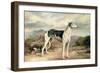 A Greyhound in a Hilly Landscape-James Beard-Framed Giclee Print