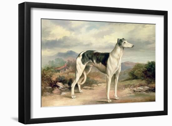 A Greyhound in a Hilly Landscape-James Beard-Framed Giclee Print