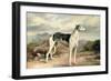 A Greyhound in a Hilly Landscape-James Beard-Framed Giclee Print