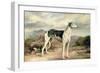 A Greyhound in a Hilly Landscape-James Beard-Framed Giclee Print
