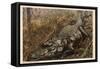 A Grim Monster, C.1915-null-Framed Stretched Canvas