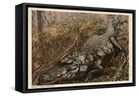 A Grim Monster, C.1915-null-Framed Stretched Canvas