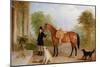 A Groom with a Horse-John E. Ferneley-Mounted Giclee Print