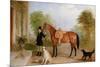 A Groom with a Horse-John E. Ferneley-Mounted Giclee Print