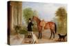 A Groom with a Horse-John E. Ferneley-Stretched Canvas