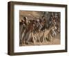 A Group of Afghan Construction Daily Workers Wait to be Hired-null-Framed Photographic Print