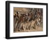 A Group of Afghan Construction Daily Workers Wait to be Hired-null-Framed Photographic Print