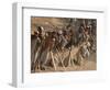 A Group of Afghan Construction Daily Workers Wait to be Hired-null-Framed Photographic Print