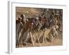 A Group of Afghan Construction Daily Workers Wait to be Hired-null-Framed Photographic Print