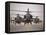 A Group of AH-64D Apache Helicopters On the Runway at COB Speicher-Stocktrek Images-Framed Stretched Canvas