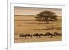 A group of antelopes at the heart of Etosha National Park, Namibia, Africa-Michal Szafarczyk-Framed Photographic Print