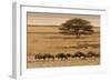 A group of antelopes at the heart of Etosha National Park, Namibia, Africa-Michal Szafarczyk-Framed Photographic Print