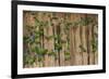 A group of blue-headed parrots cling to clay cliffs, Peru, Amazon Basin.-Art Wolfe-Framed Premium Photographic Print