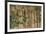 A group of blue-headed parrots cling to clay cliffs, Peru, Amazon Basin.-Art Wolfe-Framed Premium Photographic Print