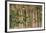 A group of blue-headed parrots cling to clay cliffs, Peru, Amazon Basin.-Art Wolfe-Framed Premium Photographic Print