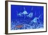 A Group of Blue Marlin with Two Siamese Tigerfish Anda Basket Star-null-Framed Art Print