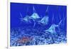 A Group of Blue Marlin with Two Siamese Tigerfish Anda Basket Star-null-Framed Art Print