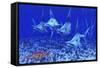 A Group of Blue Marlin with Two Siamese Tigerfish Anda Basket Star-null-Framed Stretched Canvas