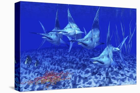 A Group of Blue Marlin with Two Siamese Tigerfish Anda Basket Star-null-Stretched Canvas