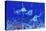 A Group of Blue Marlin with Two Siamese Tigerfish Anda Basket Star-null-Stretched Canvas