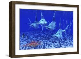 A Group of Blue Marlin with Two Siamese Tigerfish Anda Basket Star-null-Framed Art Print