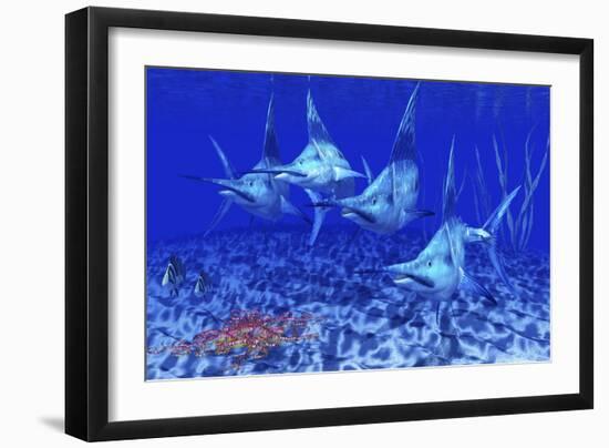 A Group of Blue Marlin with Two Siamese Tigerfish Anda Basket Star-null-Framed Art Print
