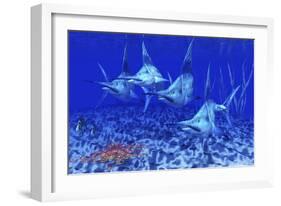 A Group of Blue Marlin with Two Siamese Tigerfish Anda Basket Star-null-Framed Art Print