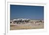 A Group of Bull Elephants, Springbok and Oryx at a Watering Hole-Alex Saberi-Framed Photographic Print