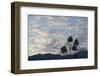 A Group of California Fan Palms with Mountains, Clouds and Sky Beyond-Timothy Hearsum-Framed Photographic Print