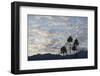 A Group of California Fan Palms with Mountains, Clouds and Sky Beyond-Timothy Hearsum-Framed Photographic Print